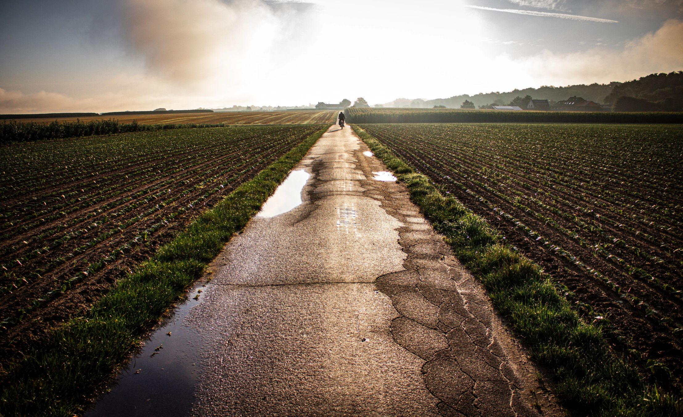 Person traveling on a rural road at sunrise